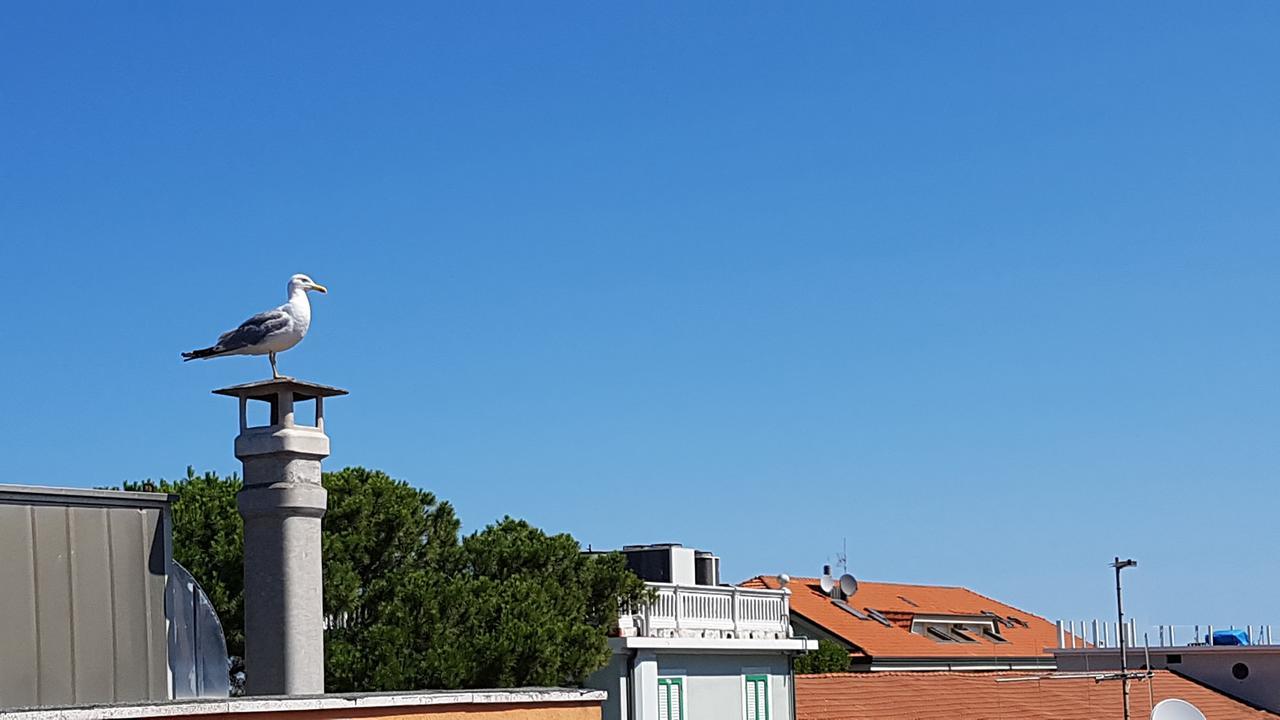Hotel Le Pleiadi Bellaria-Igea Marina Eksteriør billede